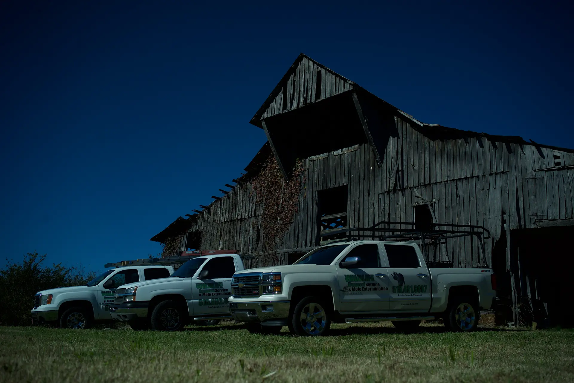Wild Things service trucks staged at a rural Maine property